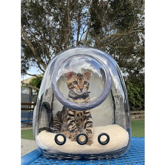 Space Capsule Bubble Cat Backpack Carrier Waterproof Green Pet Backpack - Picture 2 of 5